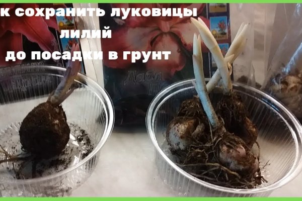 Кракен даркнет ссылка для тор