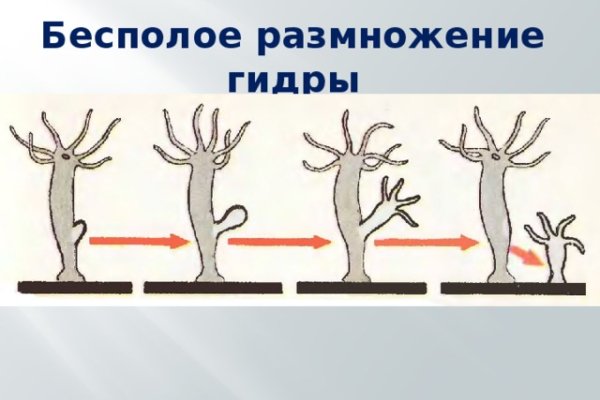 Кракен маркет даркнет speed up