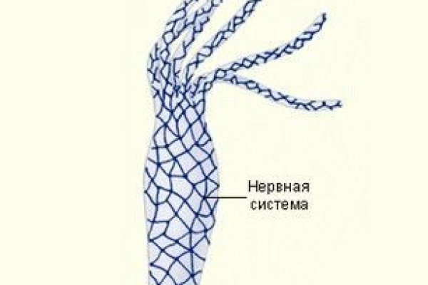 Кракен короткая ссылка